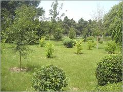 -长春公园(普阳街道)