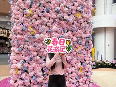 -上海长风大悦城