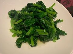 高山豆苗-南麓·浙里(外滩店)