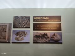 -安阳博物馆