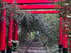 -上海杨姆庄园