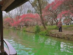 -西溪国家湿地公园