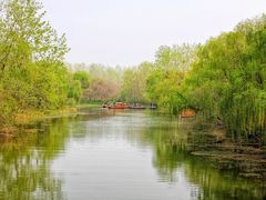 -溱湖国家湿地公园