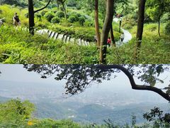 -广州市白云山风景名胜区