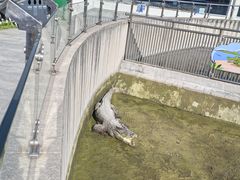 -太原动物园