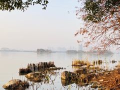 -长广溪湿地公园