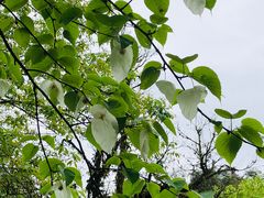 -龙苍沟森林公园