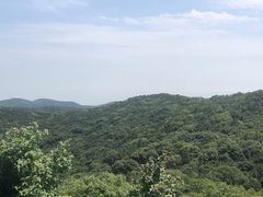 -宝界山林公园