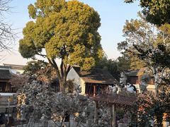 -姑苏家宴·苏帮菜·松鼠桂鱼(苏州总店)