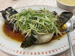 -凤城礼记鱼翅海鲜酒家(新马路总店)