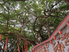 -仓山金山寺