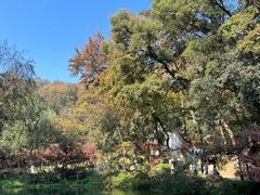 -岳麓山风景名胜区