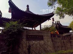 -运河游船(武林门码头)