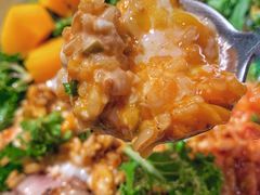 -Bco豆库(星耀天地店)