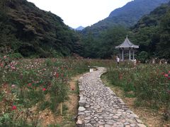 -广州市石门国家森林公园