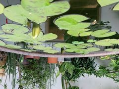 -三喜有食(集美店)