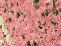 -福田体育公园