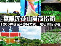 -广州莲花山旅游区