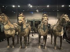 -秦始皇帝陵博物院-丽山园