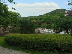 -白马涧龙池景区