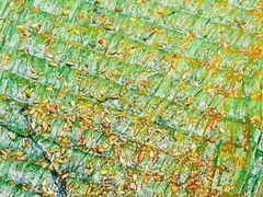 -松林烧烤·慧忠北里216小野串