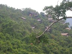 鸟巢-三亚亚龙湾人间天堂鸟巢度假村