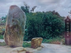 -鹤之洲湿地公园