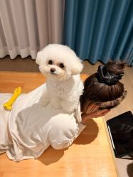 -INLIFE HAIR韩国美发