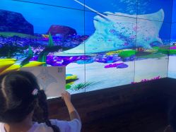 -Zoolung Zoolung动物主题公园(海信广场店)