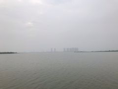 -瑶湖郊野森林公园