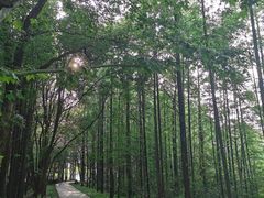 -东湖落雁景区