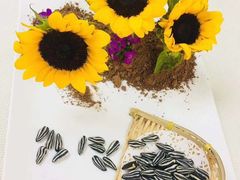 -北京市聚德华天职业技能培训学校(五根檩胡同)