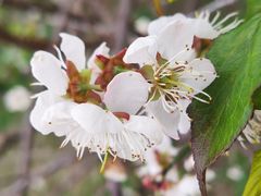 -广州市流溪河国家森林公园