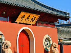 -贡湖湾湿地公园