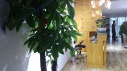 -明洞造型精品烫染