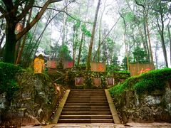 -峨眉山报国寺