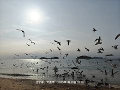 -银沙滩浴场
