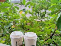 -星巴克(宁波月湖盛园店)