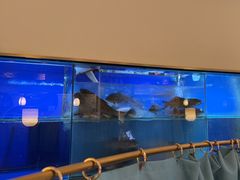 -顺峰顺水顺德菜(第一百货店)