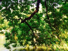 iphone_upload_pic-钓鱼台国宾馆