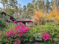 -深圳国际园林花卉博览园