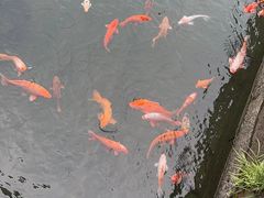 -绍兴饭店知遇楼(环山路店)