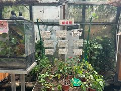 -上海大自然野生昆虫馆(东方明珠·爬宠昆虫探索中心)