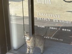 -villaa·别墅·融合菜西餐厅