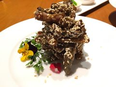 -广州富力君悦大酒店空中花园
