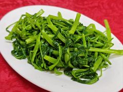 -蛇口康乐快餐鱼仔档(翠苑小区店)