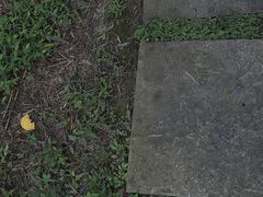 -桤木河湿地公园