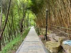 -龙头寺公园