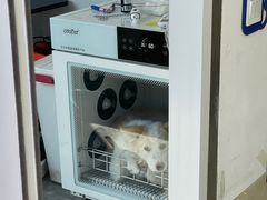 -宠颐生动物医院·心脏科·保险定点(锦阳分院)