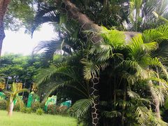-海南热带野生动植物园